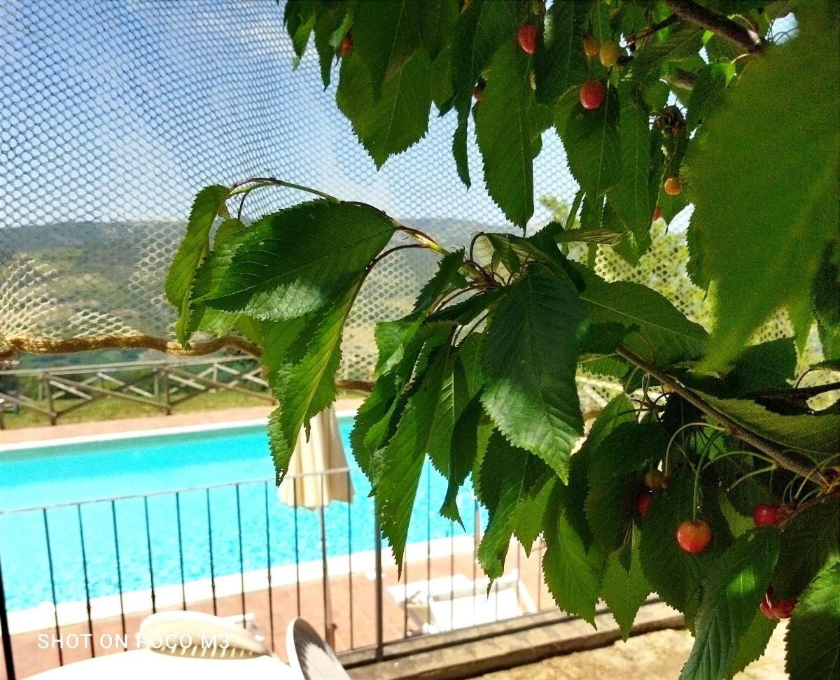 Hostal Poggio Al Vento Castiglione dʼOrcia Exterior foto